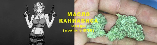 гашик Бородино